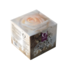 Bride Collection Organic Nails
